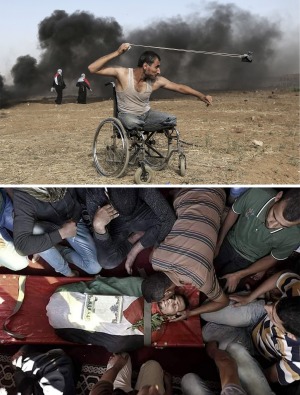 tn_41e9989c6064f214a77f2115a18e87b1_300x395