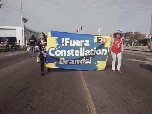 84244088_1424717687688428_1203838633958703104_n