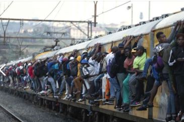 preview_11cbec552bcb94dc7b2698c69021065e835f0bf9