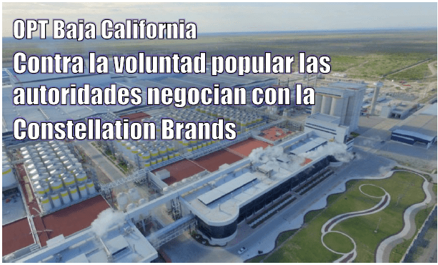 BC: Contra la voluntad popular las autoridades negocian con la Constellation Brands