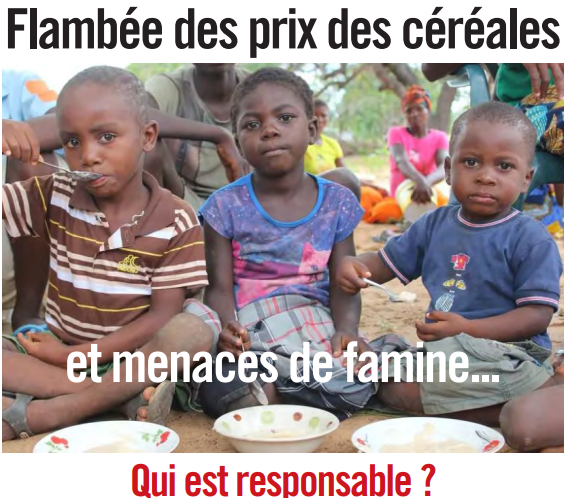 El aumento de los precios de los cereales y las amenazas de hambruna… ¿Quién es responsable ?