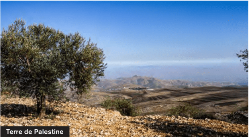 ¿Por qué los cómplices del genocidio en Gaza reconocen el Estado de Palestina?