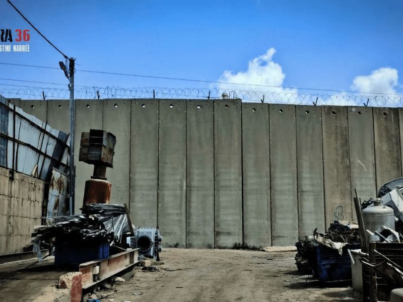 Palestina: Más allá del muro