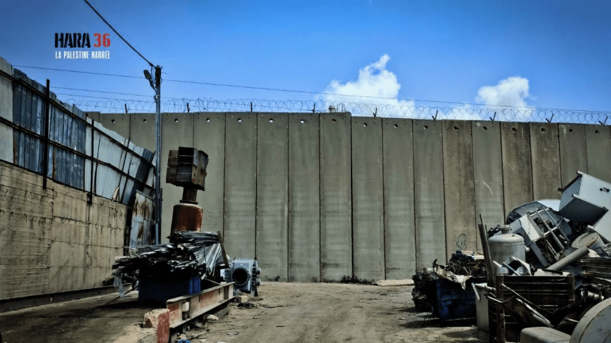 Palestina: Más allá del muro